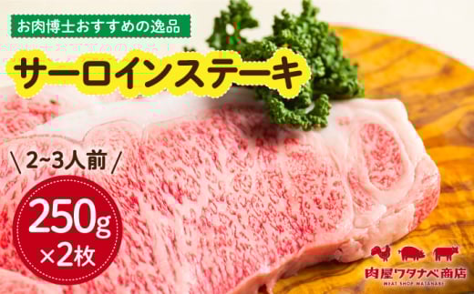 a T[CXe[L 250g×2 ^/^ixX [ECT009] Y a a T[CXe[L T[C Xe[L [낢 2  Ⓚ \[Xt Mtg j茧