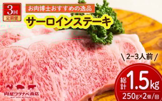 y3ցz a T[CXe[L 250g×2 ^/^ixX [ECT010] Y a a T[CXe[L T[C Xe[L [낢 2  Ⓚ \[Xt Mtg