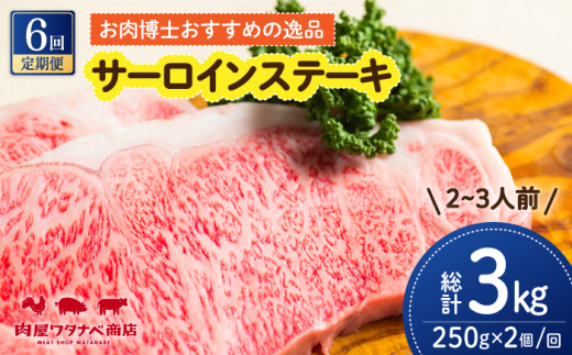 y6ցz a T[CXe[L 250g×2 ^/^ixX [ECT011] Y a a T[CXe[L T[C Xe[L [낢 2  Ⓚ \[Xt Mtg