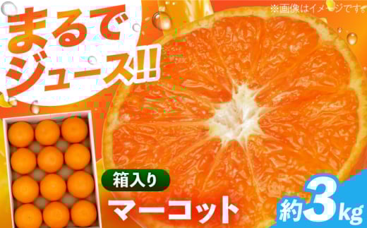 }[Rbg3kg ^/JA񒷗^ [EAF006]茧^15000ʕEt[c݂Ek