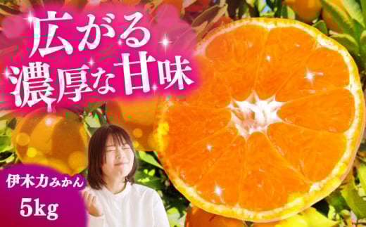 ɖ݂ؗ͂ 5kgi݁j^/i_ [EAZ006]茧^10000ʕEt[c݂Ek