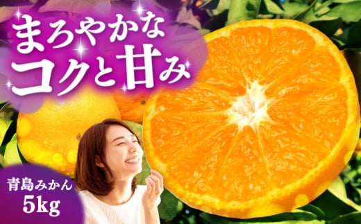 ݂ 5kgi݁j^/i_ [EAZ008]茧^11000ʕEt[c݂Ek