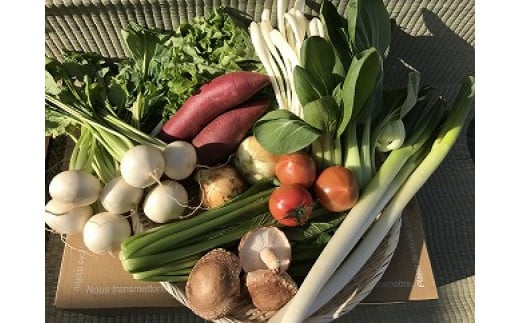 【6ヶ月定期便】自然栽培野菜10〜12品目(3・4月は白米5kg)野菜 米 白米 詰合せ茨城県神栖市112000野菜・きのこその他 野菜