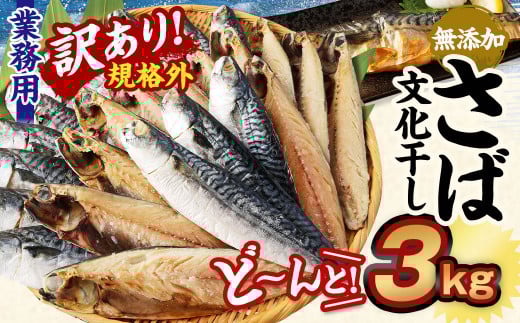 【訳あり規格外】  業務用 無添加 さば文化干し どーんと! 3kg 鯖 さば 干物 魚茨城県神栖市12000魚介・海産物鮮魚
