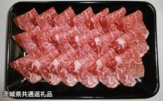y錧ʕԗiz헤&[Y|[Nؗ l킹 v1kg  ؓ錧_s15000ؓ