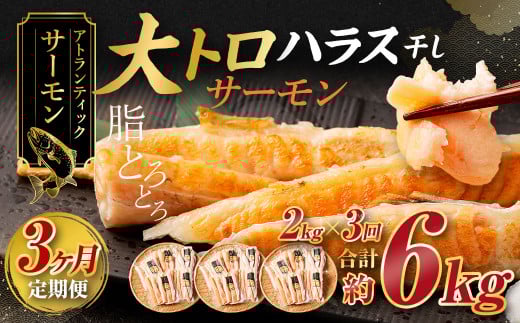 y3ցzAgeBbNT[ gT[nX 2kg×3 v6kg T[ nX   銱 錧_s41000ECYN