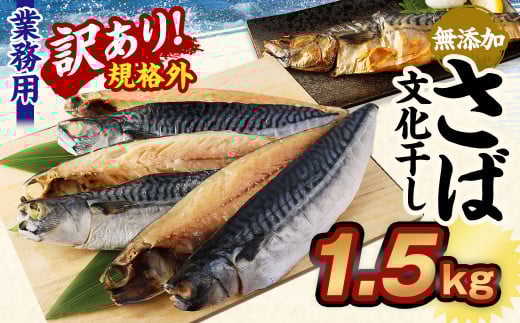 【訳あり規格外】 業務用 無添加さば文化干し 1.5kg 鯖 さば 干物 魚茨城県神栖市8000魚介・海産物鮮魚