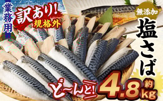 y󂠂KiOz  Ɩp Y  ǁ[! 4.8kg I  To  錧_s19000ECYN