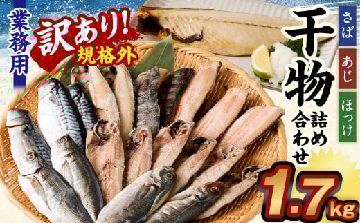 【訳あり規格外】  業務用 干物 詰め合わせ どーんと! 1.7kg 3種 セット さば サバ 鯖 縞ほっけ ほっけ ホッケ あじ アジ 鯵 魚茨城県神栖市8000魚介・海産物干物
