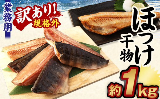 【訳あり規格外】業務用 ほっけ 干物 1kg ホッケ 縞ほっけ茨城県神栖市6000魚介・海産物鮮魚