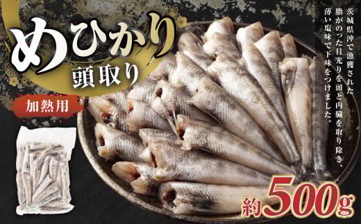 めひかり 頭取り 加熱用 約500g メヒカリ 目光り 魚 さかな 唐揚げ 塩焼き茨城県神栖市9000魚介・海産物鮮魚