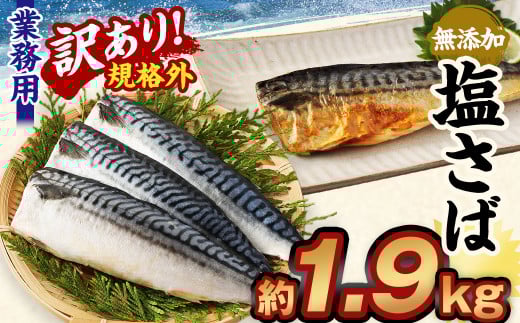訳あり規格外 業務用無添加塩さば 1.9kg茨城県神栖市10000魚介・海産物貝類