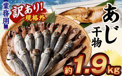 󂠂KiO Ɩp 1.9kg錧_s10000ECY