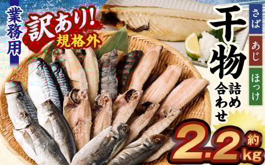 訳あり規格外 業務用 干物詰め合わせ   2.2kg茨城県神栖市10000魚介・海産物干物