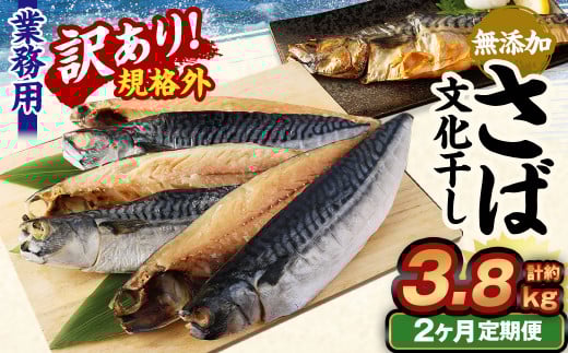 y2ցzy󂠂KiOz Ɩp Y  1.9kg錧_s20000ECY