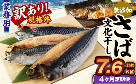 【4ヶ月定期便】【訳あり規格外】 業務用 無添加さば 文化干し 1.9kg茨城県神栖市39000魚介・海産物干物