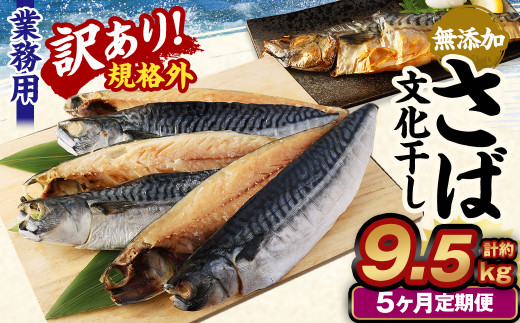 【5ヶ月定期便】【訳あり規格外】 業務用 無添加さば 文化干し 1.9kg茨城県神栖市49000魚介・海産物干物