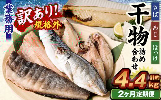 y2ցzy󂠂KiOz Ɩp  lߍ킹 2.2kg錧_s20000ECY