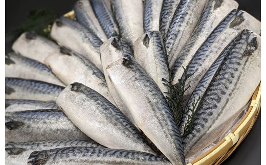 プロ食材 サバフィーレ 5kg 無塩 無塩鯖 さば サバ 鯖フィーレ 焼魚 煮魚 揚げ 料理 さかな茨城県神栖市24000魚介・海産物貝類