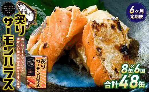 y6ցztT[nX8ʃZbg v48  b T[ nX t Ԃ  ʋl ۑ ۑ錧_s63000ECYN