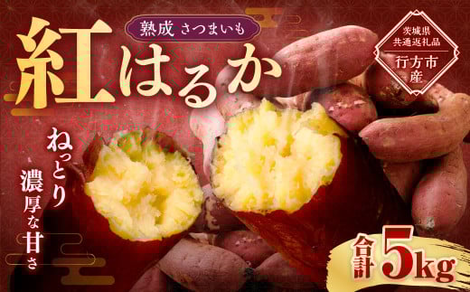 “熟成” 茨城県産 さつまいも 【 紅はるか 】 約5kg (茨城県共通返礼品・行方市産) 芋 いも サツマイモ 野菜 やさい 国産茨城県神栖市8000野菜・きのこじゃがいも・イモ類