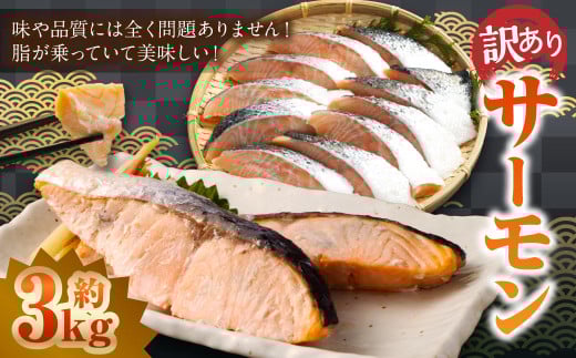 【 訳あり 】 骨取 サーモン(メラニンサーモン) 約3kg 魚 魚貝類 魚介 さかな サカナ お魚 アトランティックサーモン さけ 鮭 冷凍茨城県神栖市14000魚介・海産物鮮魚