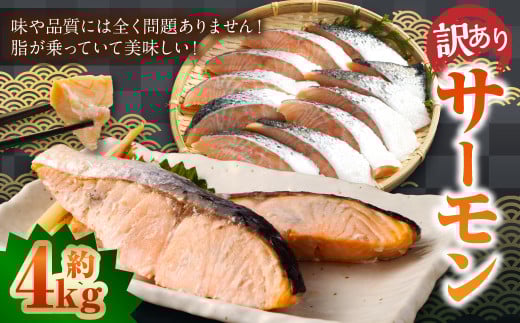 【 訳あり 】 骨取 サーモン(メラニンサーモン) 約4kg 魚 魚貝類 魚介 さかな サカナ お魚 アトランティックサーモン さけ 鮭 冷凍茨城県神栖市17000魚介・海産物鮮魚
