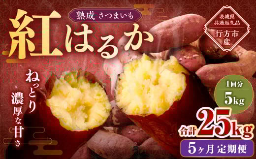 【5ヶ月定期便】“熟成”茨城県産さつまいも【紅はるか】約5kg (茨城県共通返礼品・行方市産)合計約25kg 芋 いも サツマイモ 野菜 やさい 国産茨城県神栖市40000野菜・きのこじゃがいも・イ