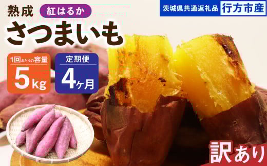 【4ヶ月定期便】【訳あり】“熟成”茨城県産さつまいも【紅はるか】約5kg(茨城県共通返礼品・行方市産)合計約20kg 芋 いも サツマイモ 野菜 やさい 国産茨城県神栖市28000野菜・きのこじゃ