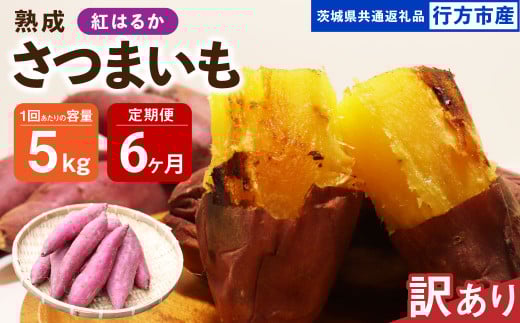 【6ヶ月定期便】【訳あり】“熟成”茨城県産さつまいも【紅はるか】約5kg(茨城県共通返礼品・行方市産)合計約30kg 芋 いも サツマイモ 野菜 やさい 国産茨城県神栖市42000野菜・きのこじゃ