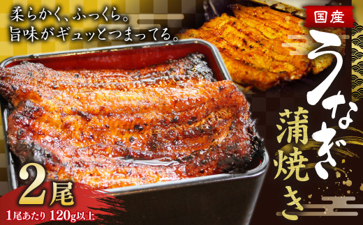 EiM Ă 2 V Ȃ ΏĂ     Y錧_s16000ECYȂ