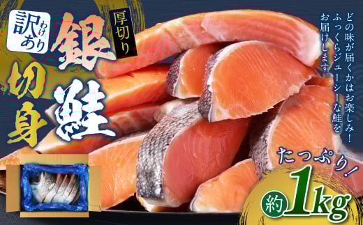 y󂠂z ؂ ؐg 1kg   TP ؂g   Ⴏ錧_s9000ECYN