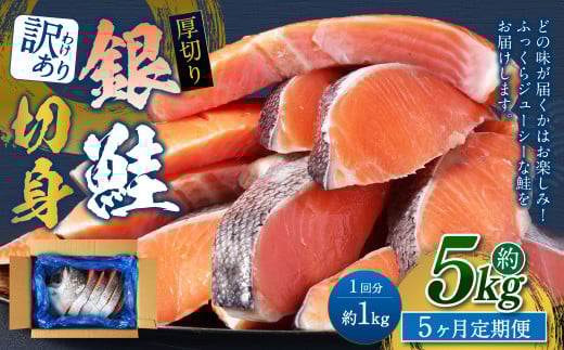 【5カ月定期便】【訳あり】 厚切り 銀鮭切身 約1kg×5回 合計約5kg 銀鮭 鮭 サケ 切り身 魚 魚介 しゃけ茨城県神栖市45000魚介・海産物鮮魚