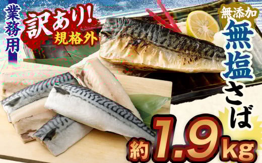 【訳あり規格外】  業務用 無添加 無塩さば 1.9kg 鯖 さば サバ 魚 お魚 さかな 魚介 魚介類茨城県神栖市10000魚介・海産物鮮魚