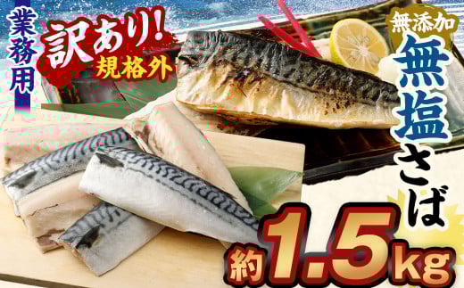 【訳あり規格外】  業務用 無添加 無塩さば 1.5kg 鯖 さば サバ 魚 お魚 さかな 魚介 魚介類茨城県神栖市8000魚介・海産物鮮魚