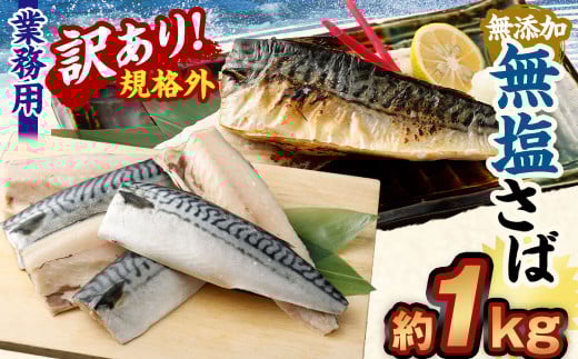 【訳あり規格外】  業務用 無添加 無塩さば 1kg 鯖 さば サバ 魚 お魚 さかな 魚介 魚介類茨城県神栖市6000魚介・海産物鮮魚