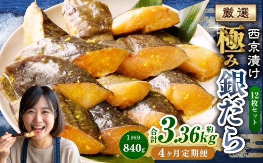 y4ցzЂ ɂ݋₾ 12Zbg ^ v3.36kg 4 4 X ₾ L  ^  CN  Ђ Ћ Ă ؂g ؐg  ܂ Zbg  錧 _