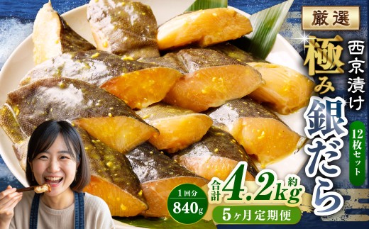 【5ヶ月定期便】西京漬け 極み銀だら 12枚セット / 計約4.2kg 5ヶ月 5回 西京味噌 銀だら 鱈 たら タラ 魚 海鮮 魚介 漬け魚 漬魚 焼き魚 切り身 切身 おかず おつまみ セット 定期便 茨城県 神