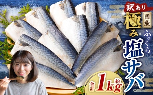 【訳あり】国産 ふっくら 極み塩サバ 計約1kg / 1切れ 塩サバ 塩さば 塩鯖 さば サバ 鯖 魚茨城県神栖市6000魚介・海産物その他 魚介・海産物
