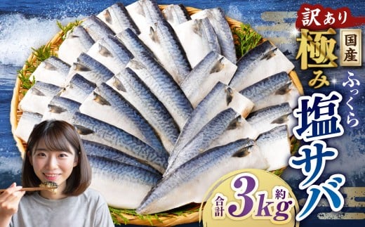 y󂠂zY ӂ ɂ݉To v3kg ^ 1؂ To  I  To I 錧_s12000ECY̑ ECY