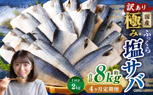 y4ցzy󂠂zY ӂ ɂ݉To v2kg ^ 1؂ To  I  To I 錧_s35000ECY̑ ECY