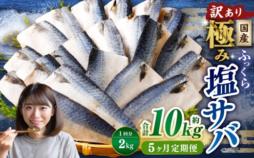 【5ヶ月定期便】【訳あり】国産 ふっくら 極み塩サバ 計約2kg / 1切れ 塩サバ 塩さば 塩鯖 さば サバ 鯖 魚茨城県神栖市44000魚介・海産物その他 魚介・海産物