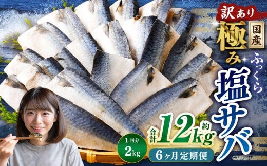 【6ヶ月定期便】【訳あり】国産 ふっくら 極み塩サバ 計約2kg / 1切れ 塩サバ 塩さば 塩鯖 さば サバ 鯖 魚茨城県神栖市56000魚介・海産物その他 魚介・海産物