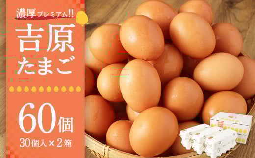濃厚プレミアム!!吉原たまご2箱  30個入り×2箱 計60個(54個+割れ保証6個) 卵 たまご茨城県神栖市15000卵・乳製品卵(鶏、烏骨鶏等)