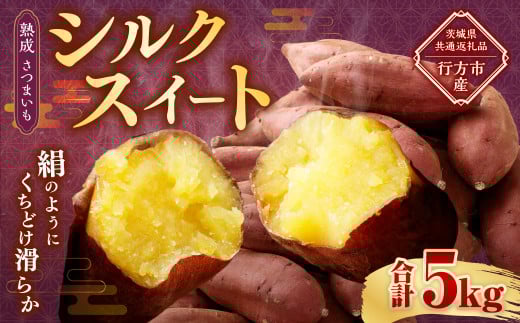 gnh 錧Y ܂ y VNXC[g z 5kg i錧ʕԗiEssYj   Tc}C  ₳ Y錧_s8000؁ÊႪEC