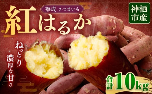 “熟成” 茨城県産 神栖市産 さつまいも 【 紅はるか 】 約10kg  芋 いも サツマイモ 野菜 やさい 国産茨城県神栖市13000野菜・きのこじゃがいも・イモ類