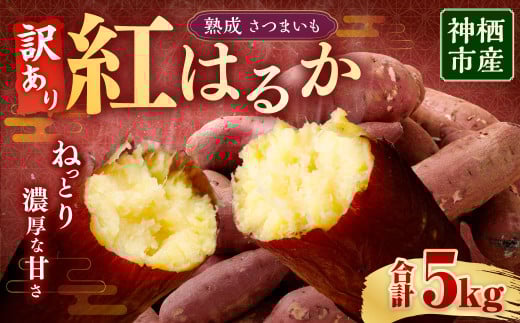 【 訳あり 】“熟成” 茨城県産 神栖市産 さつまいも 【 紅はるか 】 約5kg 芋 いも サツマイモ 野菜 やさい 国産茨城県神栖市7000野菜・きのこじゃがいも・イモ類