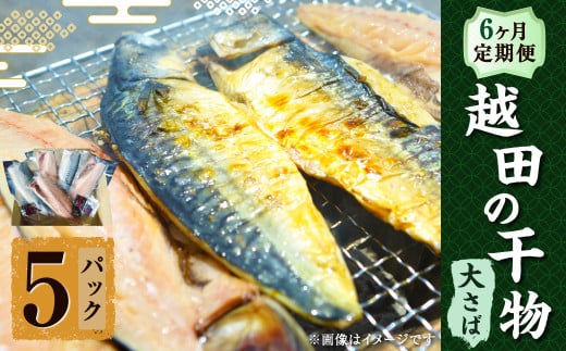 【6ヶ月定期便】 越田の干物 大さば(1枚入)×5パック 合計30パック 干物 鯖 さば 魚 お魚 さかな さば サバ茨城県神栖市90000魚介・海産物干物