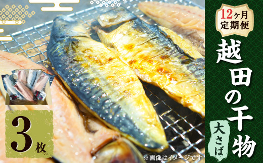 【12ヶ月定期便】 越田の干物 大さば 3枚入×1パック 合計36枚 干物 鯖 さば 魚 お魚 さかな さば サバ茨城県神栖市123000魚介・海産物干物