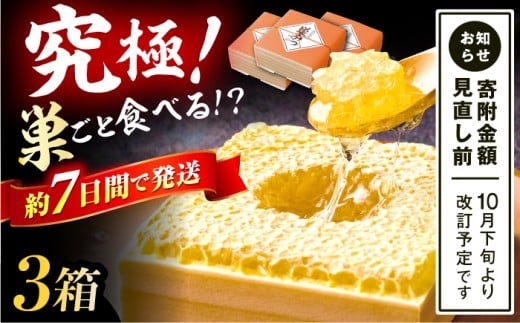 国産巣みつ 900g(300g×3個) 蜂蜜 はちみつ ハチミツ コムハニー 極上 濃厚  蜂蜜 グリークヨーグルト アサイーボウル パンケーキ ソフトクリーム オシャレ 人気 朝食 デザート 巣みつ スピード